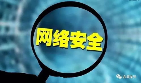 網絡與信息安全軟件開發手冊 構建數字世界的堅固防線
